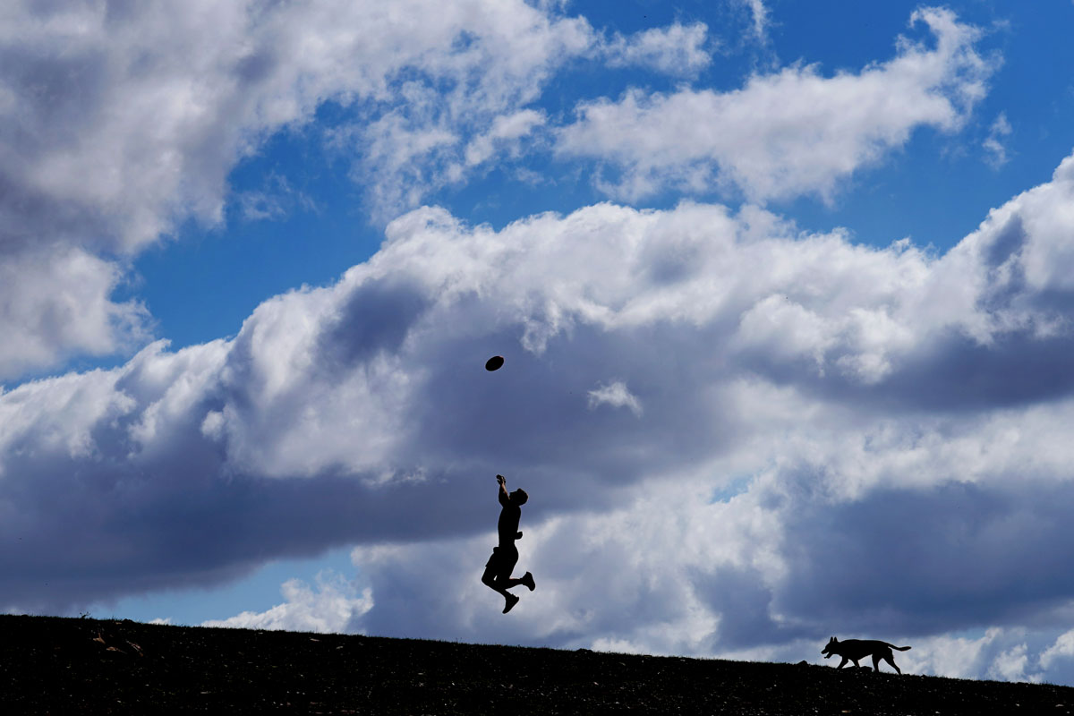 Shaun Atley of the North Melbourne Kangaroos trains with his dog Red © Michael Dodge/AAP