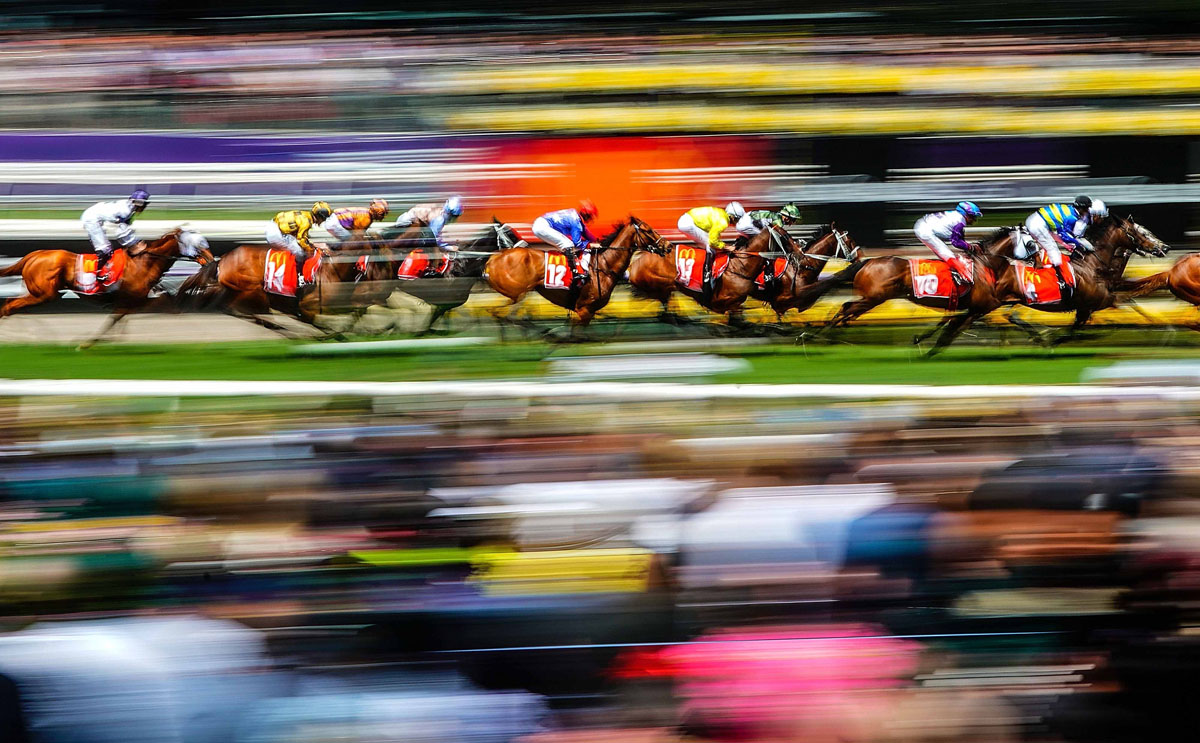 Horses race during Melbourne Cup Day © Scott Barbour/AAP
