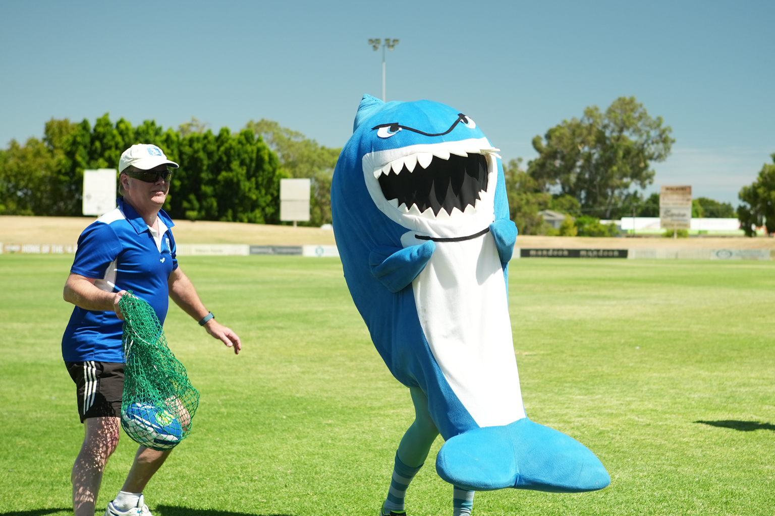 A person in a shark mascot costume on a sports field